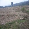 1 acre paddy field for Sale in Pemathang, Samdrup Jongkhar