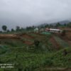 Land for Sale in Dagapela