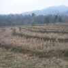 Land for Sale in Pemathang, S/Jongkhar